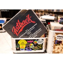 Amabilia Schallplatten Case 